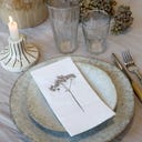 Chic Antique Serviette 