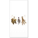 Chic Antique Serviette 