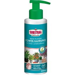 Substral Balkonpflanzen Power Nahrung - 240 ml