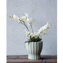 Wikholm Orchideen-Topf 