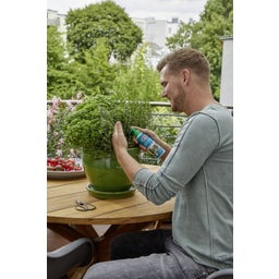 Substral Balkonpflanzen Power Nahrung - 240 ml