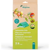 Andermatt Biogarten Almamoly csapda