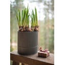 Wikholm Pots de Fleurs Amira en Métal - Lot de 3 - zinc