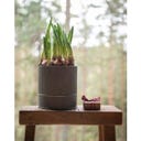 Wikholm Pots de Fleurs Amira en Métal - Lot de 3 - zinc