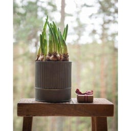 Wikholm Pots de Fleurs Amira en Métal - Lot de 3 - zinc