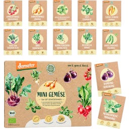 LOVEPLANTS Demeter Mini Gemüse Samen Set - 1 Set