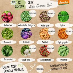 LOVEPLANTS Demeter Mini Gemüse Samen Set