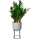 elho b.for studio round, 22 cm - Cemento