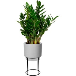 elho b.for studio round, 22 cm - Cemento