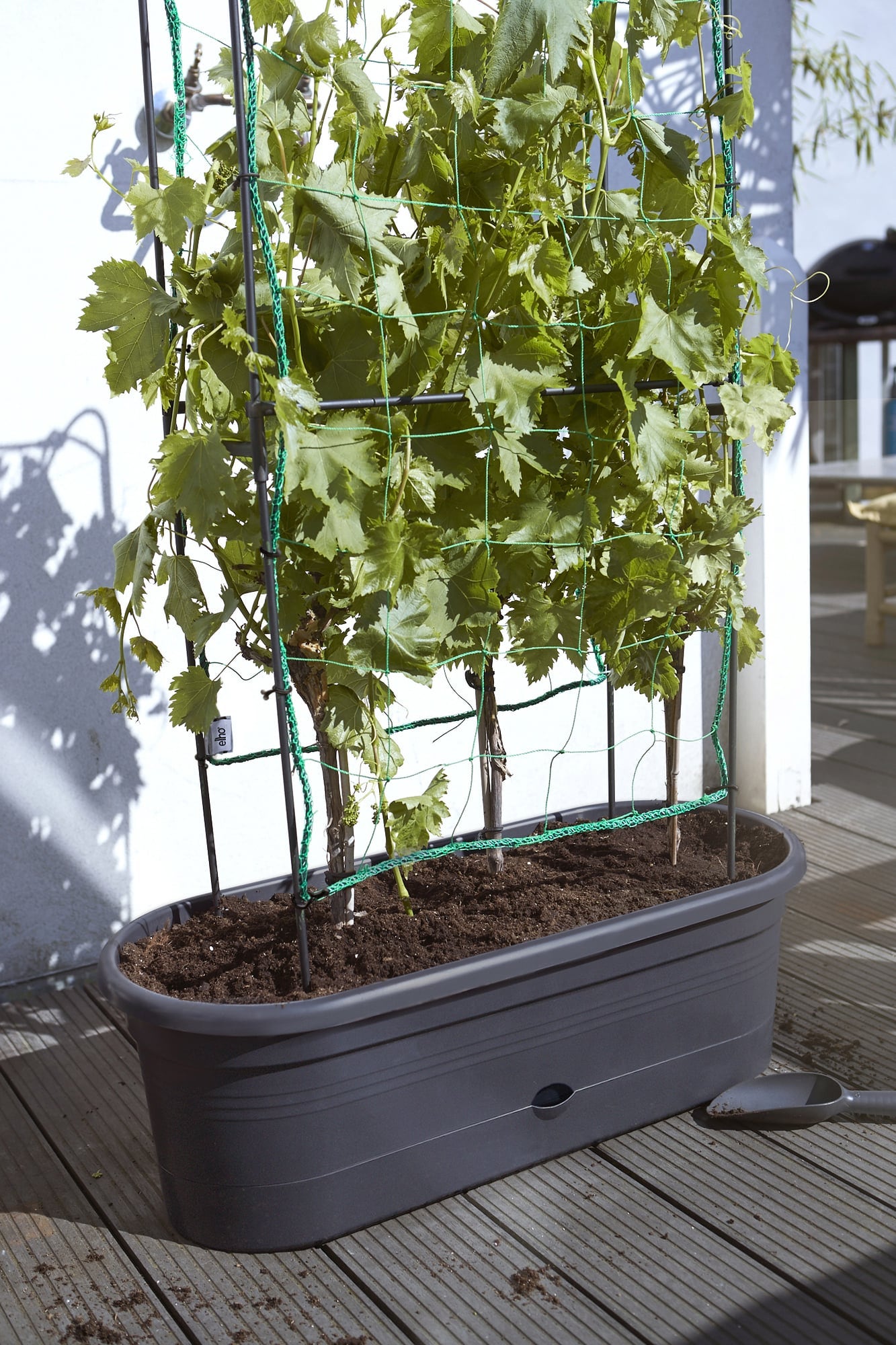 elho green basics veggie wall 80 cm - 1 item