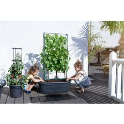 green basics veggie wall balkonláda futtatóval 80 cm - 1 db