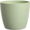 brussels rond mini 10 cm, sorbet groen