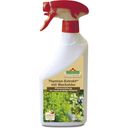 Florissa Thyme Extract AF - 500 ml