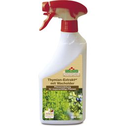 Florissa Thyme Extract AF - 500 ml