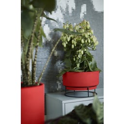 elho b.for studio Pot 30cm - Brilliant Red