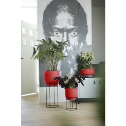 elho b.for studio Pot 30cm - Brilliant Red