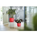 elho b.for studio Round 30cm - Brilliant Red