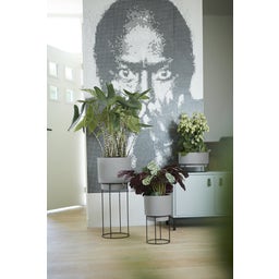 elho b.for studio Round 30cm - Living Concrete