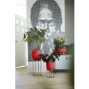 elho b.for studio Round 30cm - Brilliant Red