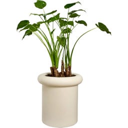 elho Pflanzgefäß lana 46 cm - leinenweiß