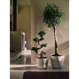 elho Pflanzgefäß mura 40 cm - leinenweiß