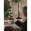 elho Pflanzgefäß mura 40 cm - leinenweiß