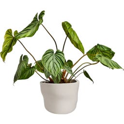 elho Pflanzgefäß mura 40 cm - leinenweiß