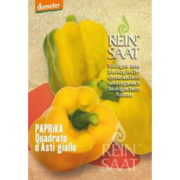 ReinSaat Paprika ''Quadrato d'Asti giallo'' - 1 bal.