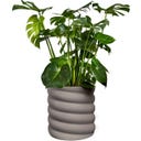elho swirl Vaso para Plantas 37 cm - 