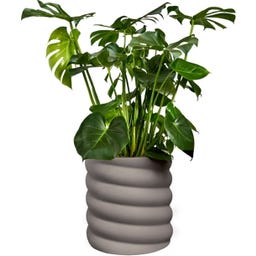 elho swirl Vaso para Plantas 37 cm - 