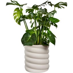elho Pflanzgefäß swirl 37 cm - leinenweiß