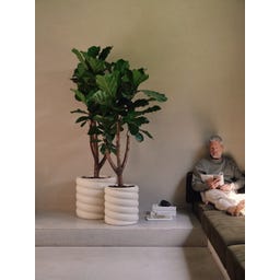 elho Pflanzgefäß swirl 47 cm - leinenweiß