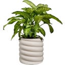 elho Pflanzgefäß swirl 47 cm - leinenweiß