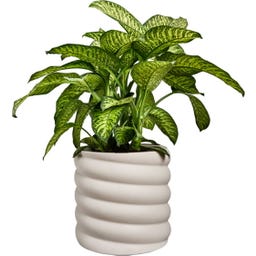elho Pflanzgefäß swirl 47 cm - leinenweiß