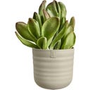 elho Pot Dune Rond 16 cm - mushroom beige