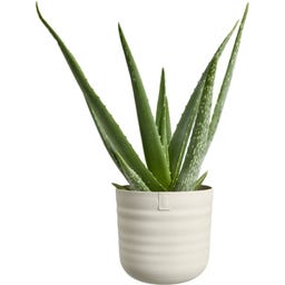 elho dune rund 18 cm - leinenweiß