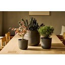 elho dune rund 25 cm - warmes anthrazit