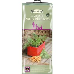 Haxnicks Carrot Patio Planter in 2pc Set - 2 items