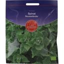 De Bolster New Zealand Spinach - 10 grams
