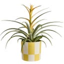 elho Topf blocks & stripes 15 cm - cremegelb