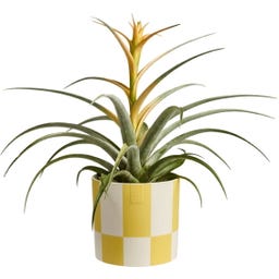 elho Topf blocks & stripes 15 cm - cremegelb