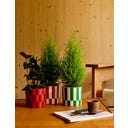 elho blocks & stripes 15cm - meadow green