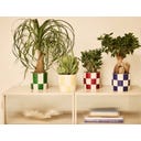 elho Topf blocks & stripes 15 cm - cremegelb