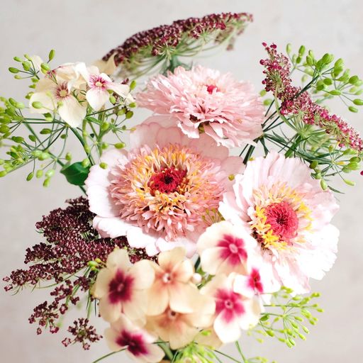 Jora Dahl Wild Bouquet - Pink Caramel Collection - 1 set