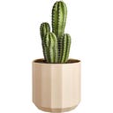 elho Topf facet rund 30 cm - mandelrosa