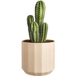 elho Topf facet rund 30 cm - mandelrosa