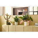 elho Topf facet rund 35 cm - mandelrosa