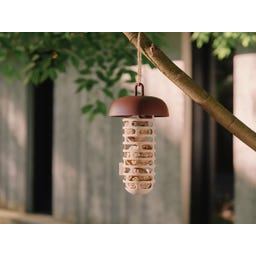 elho organic Meisenknödelhalter 12 cm - kastanienbraun
