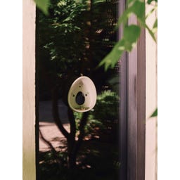 elho essential Fensterfutterhaus 25 cm - faseriges grau