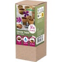 Romberg Grow Tabs 30x Ø 30 mm - 30 Stück